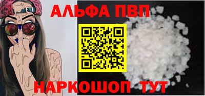 jwh Кингисепп