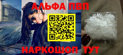 jwh Кингисепп