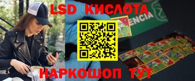 PSILOCYBIN Кинель