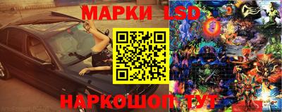 PSILOCYBIN Кинель