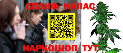 jwh Кингисепп