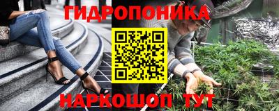 PSILOCYBIN Кинель