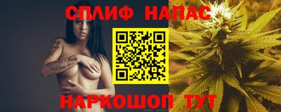 jwh Кингисепп