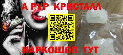 jwh Кингисепп